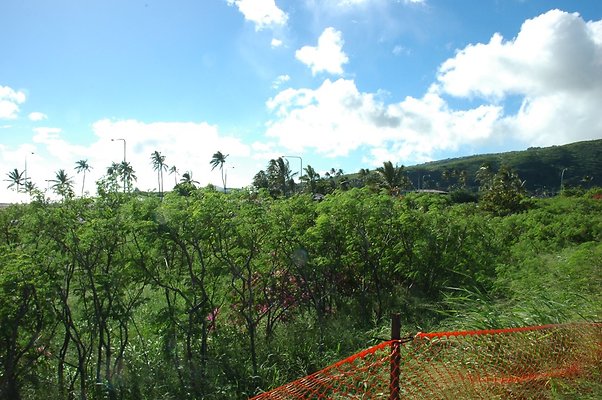 HI50 S5 HKMarina DSC 3831