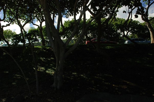 HI50 S5 HKMarina DSC 3849