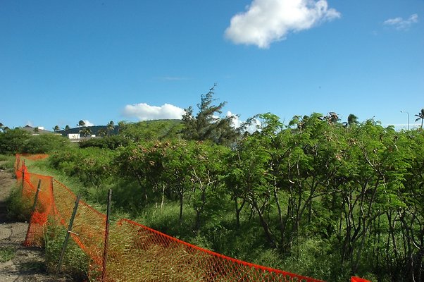 HI50 S5 HKMarina DSC 3829