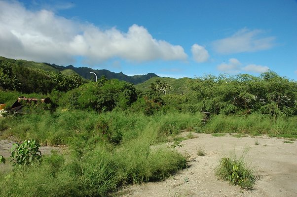 HI50 S5 HKMarina DSC 3837