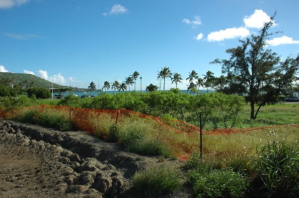 HI50 S5 HKMarina DSC 3828