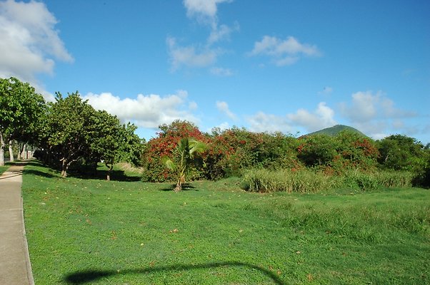 13-HI50 S5 HKMarina DSC 3876A-16