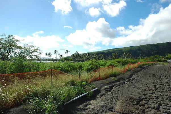 HI50 S5 HKMarina DSC 3823