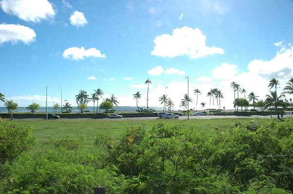 HI50 S5 HKMarina DSC 3818