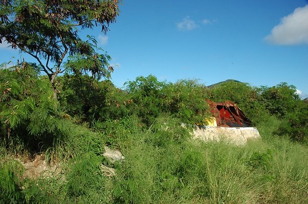 HI50 S5 HKMarina DSC 3838