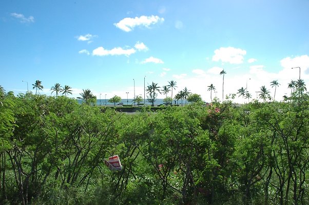 HI50 S5 HKMarina DSC 3830