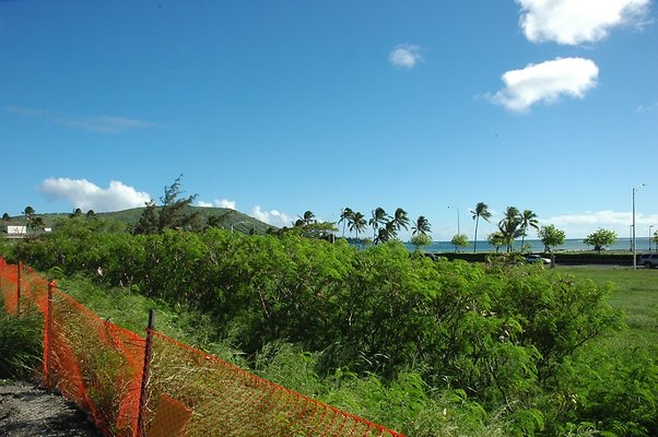 HI50 S5 HKMarina DSC 3817