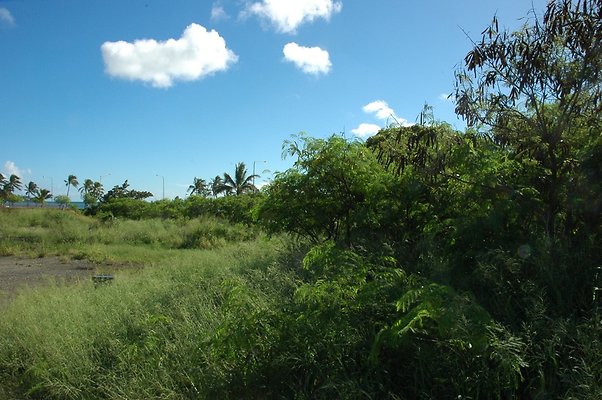 HI50 S5 HKMarina DSC 3840