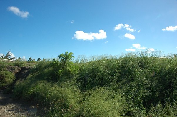 HI50 S5 HKMarina DSC 3852