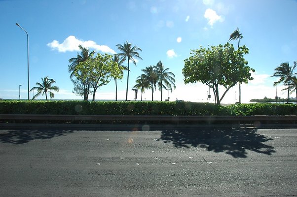 2-HI50 S5 HKMarina DSC 3866-5