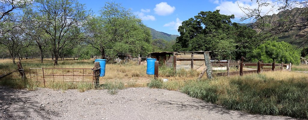 Maili 87-1250 Hakimo Road #2 Various