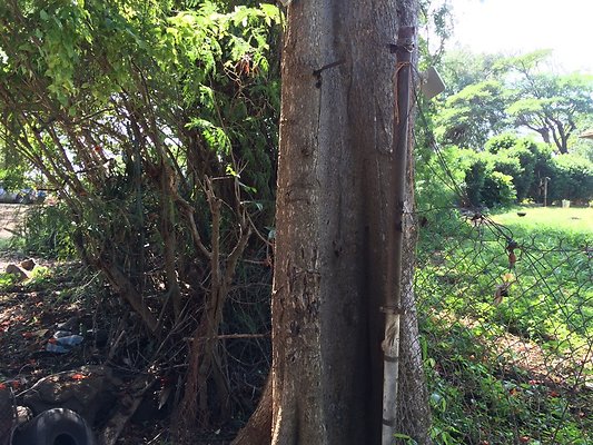 HI50 S5 2015-02-11 13.24.37 HDR