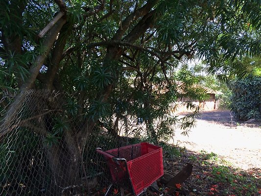 HI50 S5 2015-02-11 13.24.48