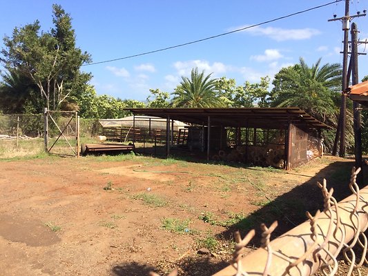 HI50 S5 2015-02-11 13.33.53