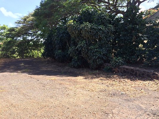 HI50 S5 2015-02-11 13.30.38 HDR