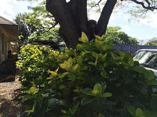 HI50 S5 2015-02-11 13.36.59 HDR