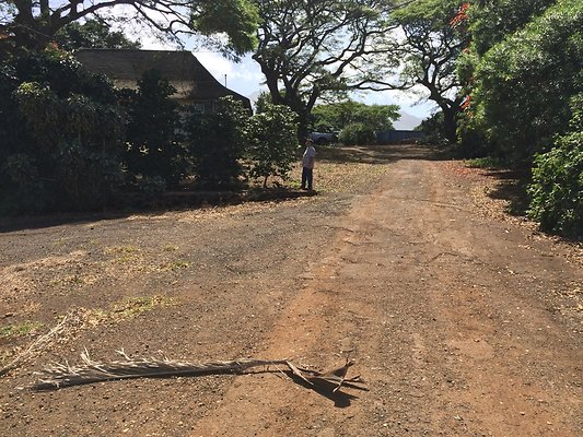 HI50 S5 2015-02-11 13.33.59 HDR