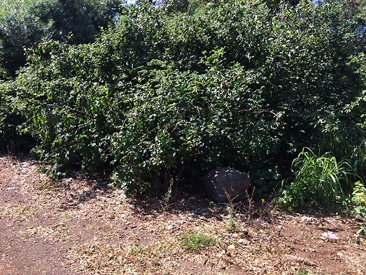 HI50 S5 2015-02-11 13.34.01