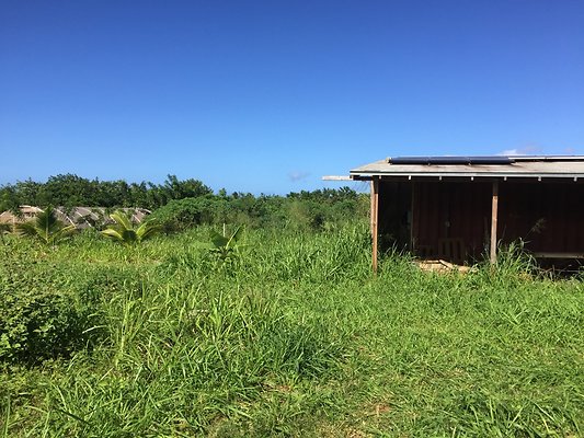 HI50 S6 2015-12-15 13.23.55