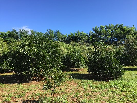 HI50 S6 2015-12-15 13.41.16