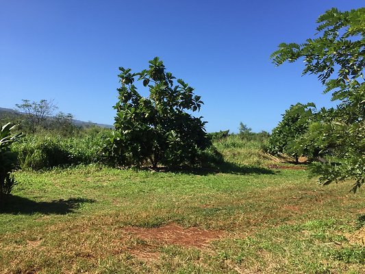 HI50 S6 2015-12-15 13.28.51