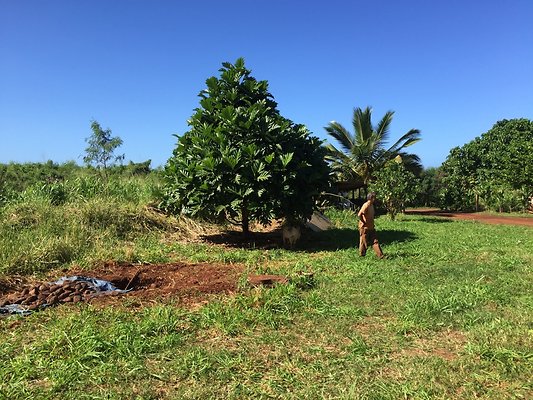 HI50 S6 2015-12-15 13.29.44