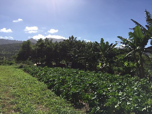 HI50 S6 2015-12-15 13.41.23