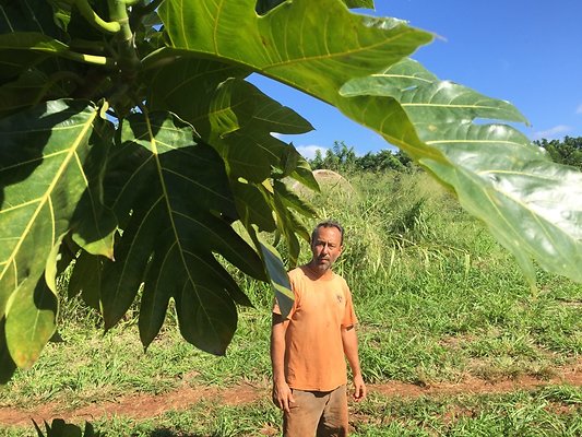 HI50 S6 2015-12-15 13.27.39