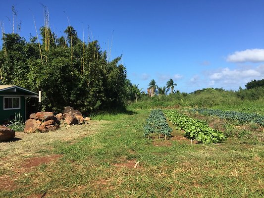 HI50 S6 2015-12-15 13.37.29