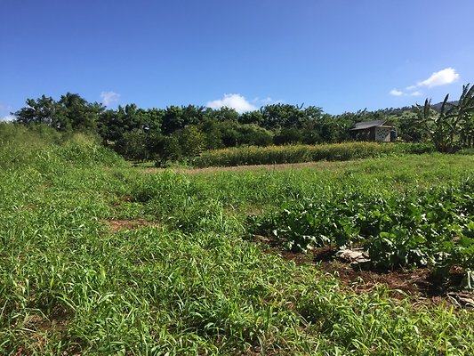 HI50 S6 2015-12-15 13.39.35