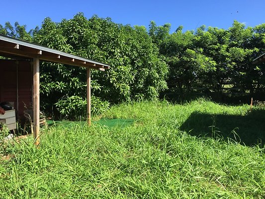 HI50 S6 2015-12-15 13.24.18