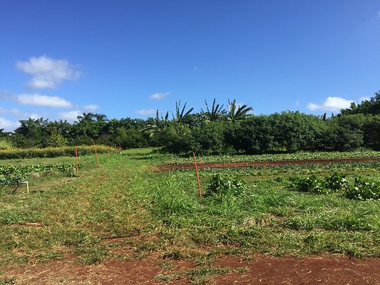 HI50 S6 2015-12-15 13.37.43