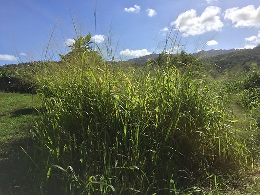 HI50 S6 2015-12-15 13.27.44