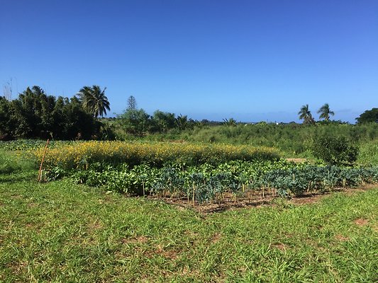 HI50 S6 2015-12-15 13.41.02