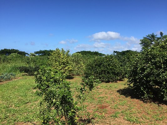 HI50 S6 2015-12-15 13.41.05