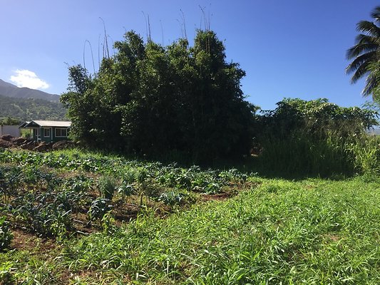 HI50 S6 2015-12-15 13.39.45