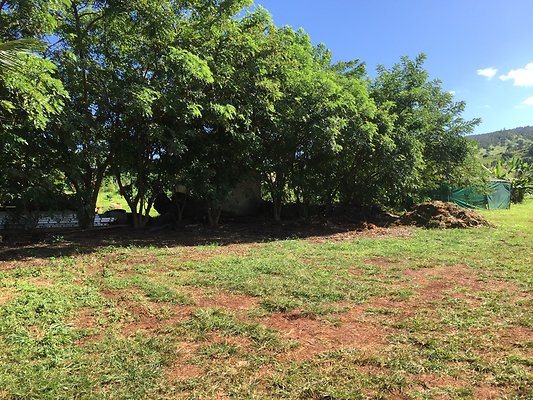 HI50 S6 2015-12-15 13.30.10