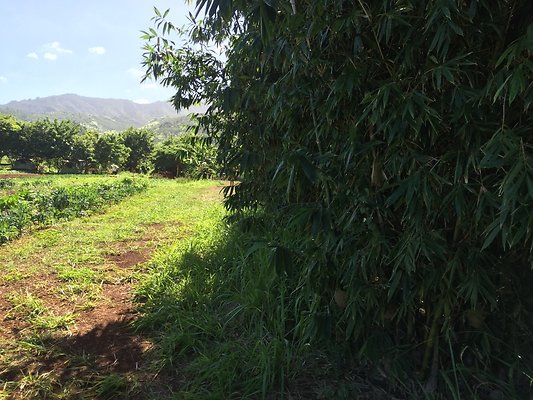 HI50 S6 2015-12-15 13.38.31