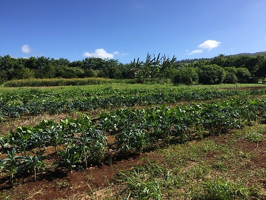 HI50 S6 2015-12-15 13.38.27