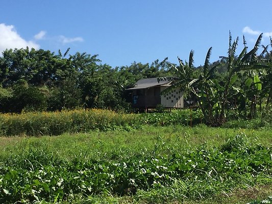 HI50 S6 2015-12-15 13.38.58