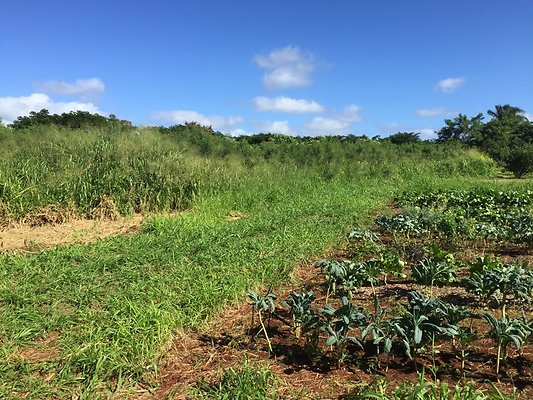 HI50 S6 2015-12-15 13.38.23