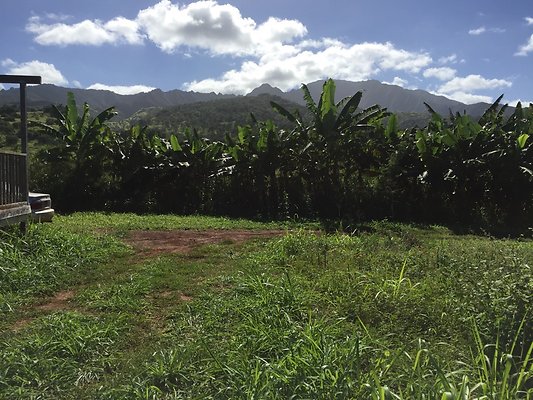 HI50 S6 2015-12-15 13.24.26