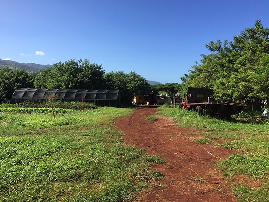 HI50 S6 2015-12-15 13.42.08