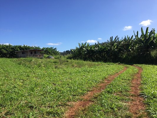 HI50 S6 2015-12-15 13.28.08