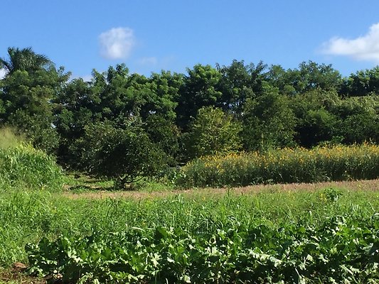 HI50 S6 2015-12-15 13.38.55