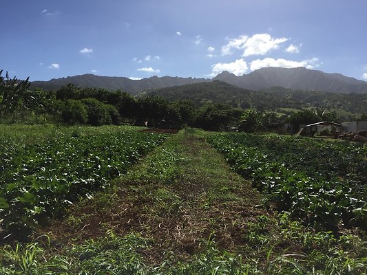 HI50 S6 2015-12-15 13.39.40