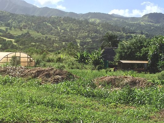 HI50 S6 2015-12-15 13.43.42