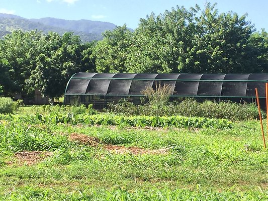 HI50 S6 2015-12-15 13.43.23