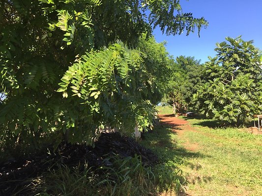 HI50 S6 2015-12-15 13.29.07