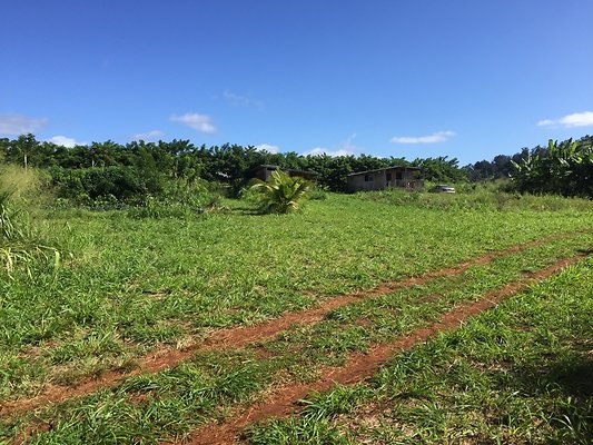 HI50 S6 2015-12-15 13.27.41